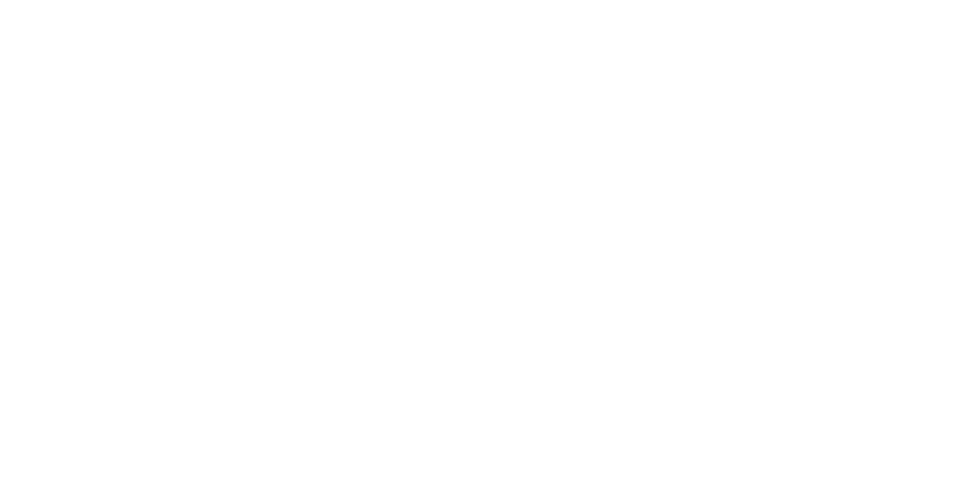 Judy-Segger